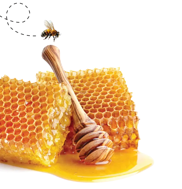 1beeandhoney