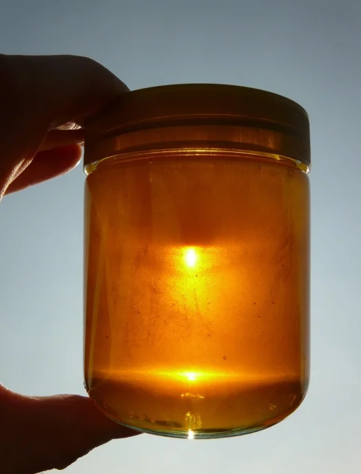 hans honey 5864 1280 0